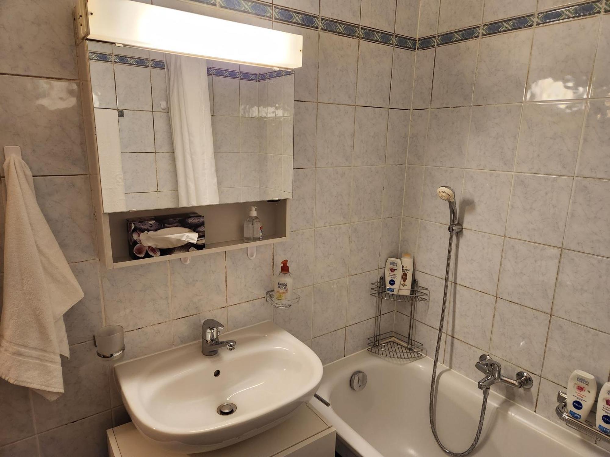 Room In Shared Apartment Женева Экстерьер фото